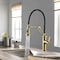Kibi Engel Single Handle Pull Down Kitchen Faucet KKF2014BG - alternate 4